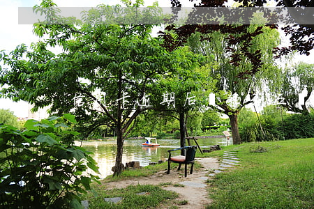信用卡逾期后還款到五萬(wàn)以下