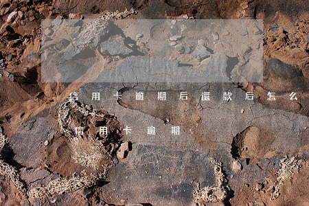 信用卡逾期后還款后怎么判刑-法院如何判信用卡逾期