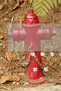信用卡逾期后還款后沒有額度-交行逾期還款后顯示有額度,過幾天又沒額度了