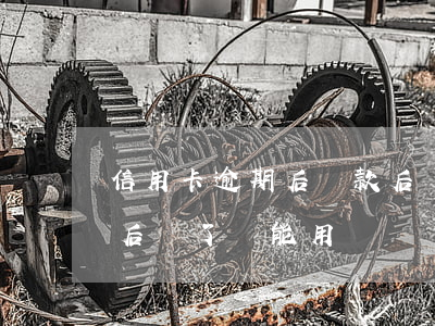 信用卡逾期后還款后還可以用嗎(信用卡逾期后還了還能用嗎)