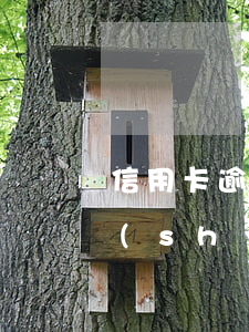 信用卡逾期后還款多久入賬(還信用卡多長時(shí)間到賬)