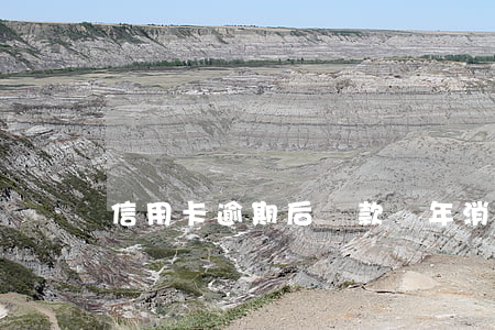 信用卡逾期后還款幾年消除記錄