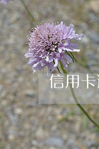 信用卡逾期后還款怎么扣
