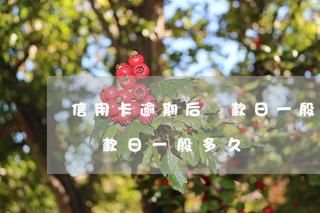 信用卡逾期后還款日一般多久(信用卡逾期后還款日一般多久)