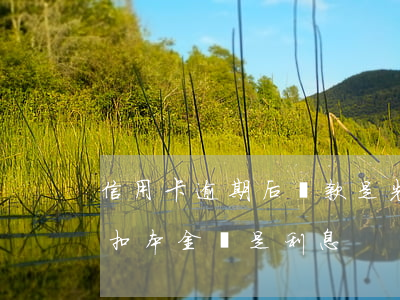 信用卡逾期后還款是先扣本金嗎(逾期還款先扣本金還是利息)