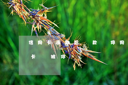 信用卡逾期后還款會停用么(貸款有逾期信用卡會被停嗎)