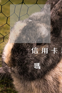 信用卡逾期后還款款沖本金(逾期可以還本金嗎)