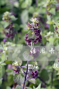 信用卡逾期后還款沖抵順序(各銀行信用卡最后還款日)