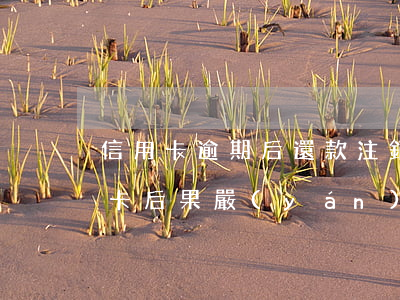 信用卡逾期后還款注銷卡片(逾期后注銷信用卡后果嚴(yán)重)