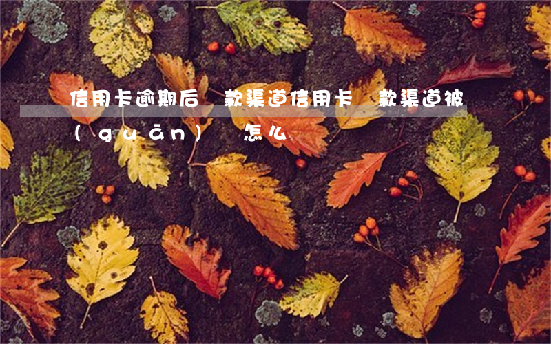 信用卡逾期后還款渠道(信用卡還款渠道被關(guān)閉怎么辦)