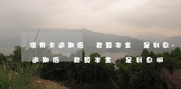 信用卡逾期后還款算本金還是利息-信用卡逾期后還款算本金還是利息啊