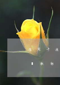 信用卡逾期后還款能少利息嗎 信用卡逾期后還款能少利息嗎