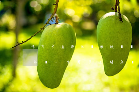 信用卡逾期后還款被凍結(jié)了怎么解凍-信用卡逾期后還款被凍結(jié)了怎么解凍呢