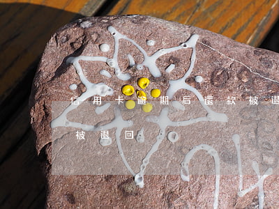 信用卡逾期后還款被退回(為什么信用卡還款被退回)