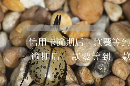 信用卡逾期后還款要等到還款日嗎-信用卡逾期后還款要等到還款日嗎怎么辦