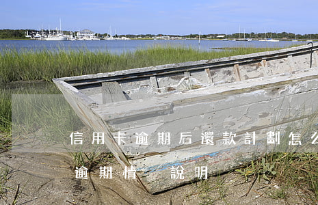 信用卡逾期后還款計劃怎么寫(怎么寫信用卡逾期情況說明)