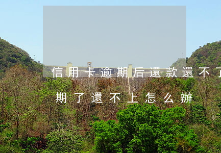 信用卡逾期后還款還不了-欠信用卡的錢逾期了還不上怎么辦