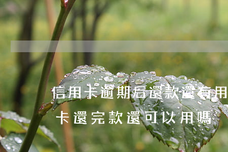 信用卡逾期后還款還有用嗎(逾期幾年的信用卡還完款還可以用嗎)