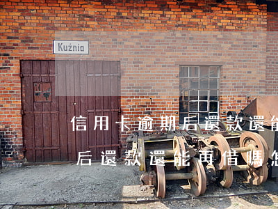 信用卡逾期后還款還能再借嗎-信用卡逾期后還款還能再借嗎怎么還