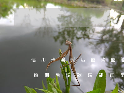 信用卡逾期后還款，還能正常使用么-信用卡逾期后還款,還能正常使用么