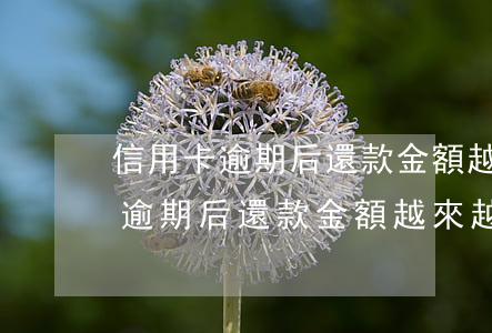 信用卡逾期后還款金額越來越多了-信用卡逾期后還款金額越來越多了怎么辦
