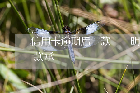 信用卡逾期后還款開證明(信用卡逾期簽了還款承諾書)