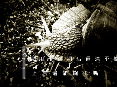 信用卡逾期后還清不能用了(逾期的信用卡還上后還能刷卡嗎)