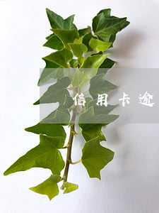 信用卡逾期后還清了多久可以提額