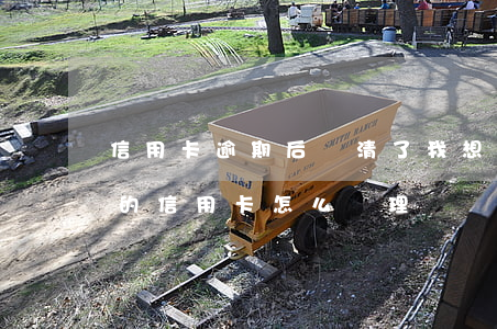 信用卡逾期后還清了我想立刻注銷(逾期還清的信用卡怎么處理)