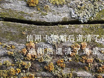 信用卡逾期后還清了還是不能使用-信用卡逾期后還清了還是不能使用怎么回事