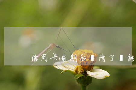 信用卡逾期后還清了還能用嗎