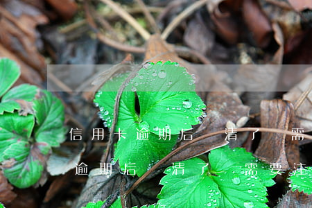 信用卡逾期后還清了還需要注銷嗎-信用卡逾期后還清了還需要注銷嗎怎么辦
