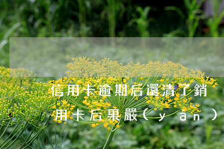 信用卡逾期后還清了銷戶好嗎(逾期后注銷信用卡后果嚴(yán)重)