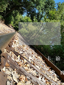信用卡逾期后還清了額度還是降低(還信用卡降額度咋回事)