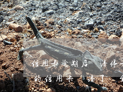 信用卡逾期后還清?？诉€能用么(嚴重逾期的信用卡還清了還能用嗎)