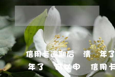 信用卡逾期后還清兩年了(信用卡逾期還清兩年了還可以申請信用卡嗎)