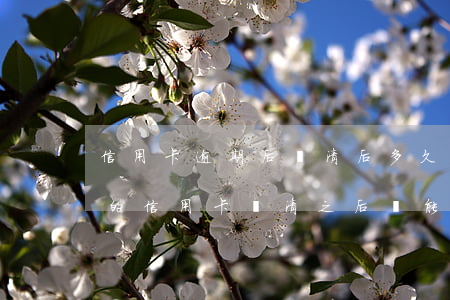 信用卡逾期后還清后多久可以再用(逾期很久的信用卡還清之后還能用嗎)