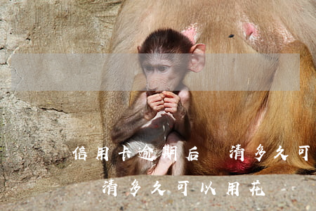 信用卡逾期后還清多久可以用(信用卡逾期后還清多久可以用花唄)