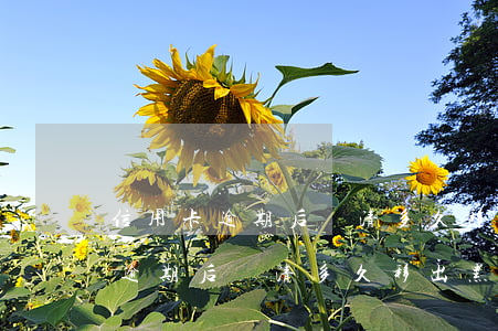 信用卡逾期后還清多久移出黑名單-信用卡逾期后還清多久移出黑名單了