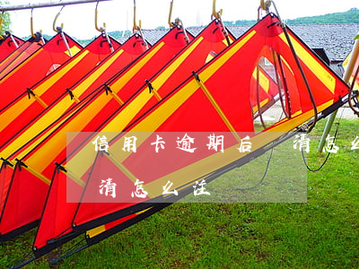 信用卡逾期后還清怎么注銷(信用卡逾期后還清怎么注銷)