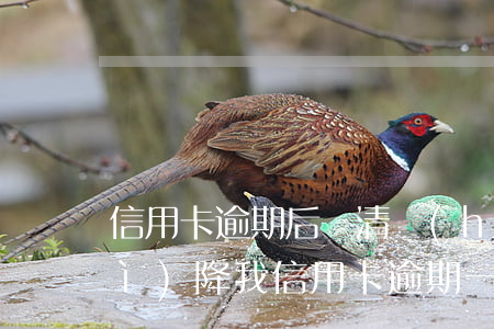 信用卡逾期后還清會(huì)不會(huì)降(我信用卡逾期一年多現(xiàn)在還掉了還可以用嗎)