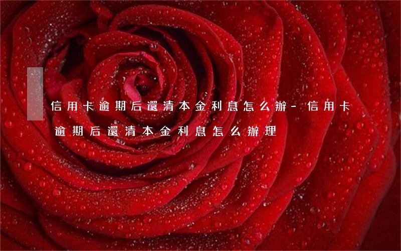 信用卡逾期后還清本金利息怎么辦-信用卡逾期后還清本金利息怎么辦理