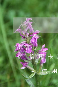 信用卡逾期后還清本金逾期費(fèi)還-信用卡逾期后還清本金逾期費(fèi)還扣嗎