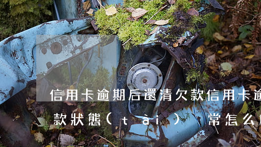 信用卡逾期后還清欠款(信用卡逾期后還清欠款狀態(tài)異常怎么解決)