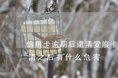 信用卡逾期后還清變廢卡(欠信用卡逾期后還清之后有什么危害)