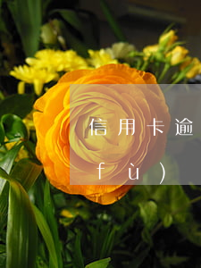 信用卡逾期后還清額度會(huì)恢復(fù)嗎-信用卡逾期后還清額度會(huì)恢復(fù)嗎知乎