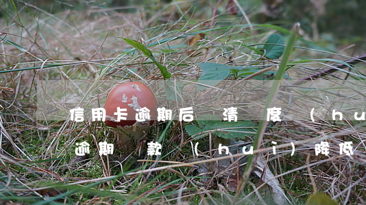 信用卡逾期后還清額度會(huì)減少嗎 逾期還款會(huì)降低額度嗎