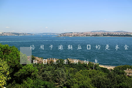 信用卡逾期后還的是本金還是罰息 信用卡 逾期罰息 逾期利息