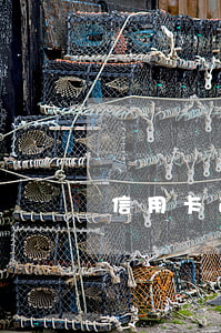 信用卡逾期后還能上岸 欠信用卡上岸