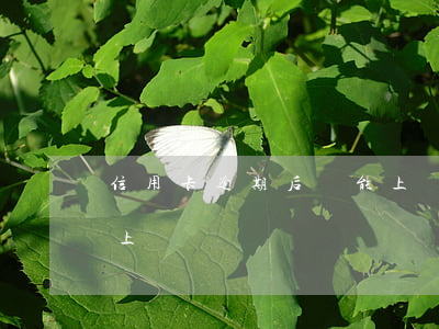信用卡逾期后還能上門-信用卡逾期后還能上門